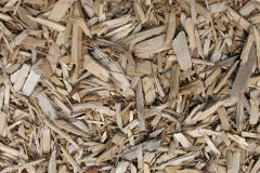biomass boilers Baldovie