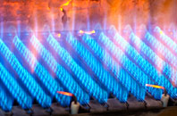 Baldovie gas fired boilers